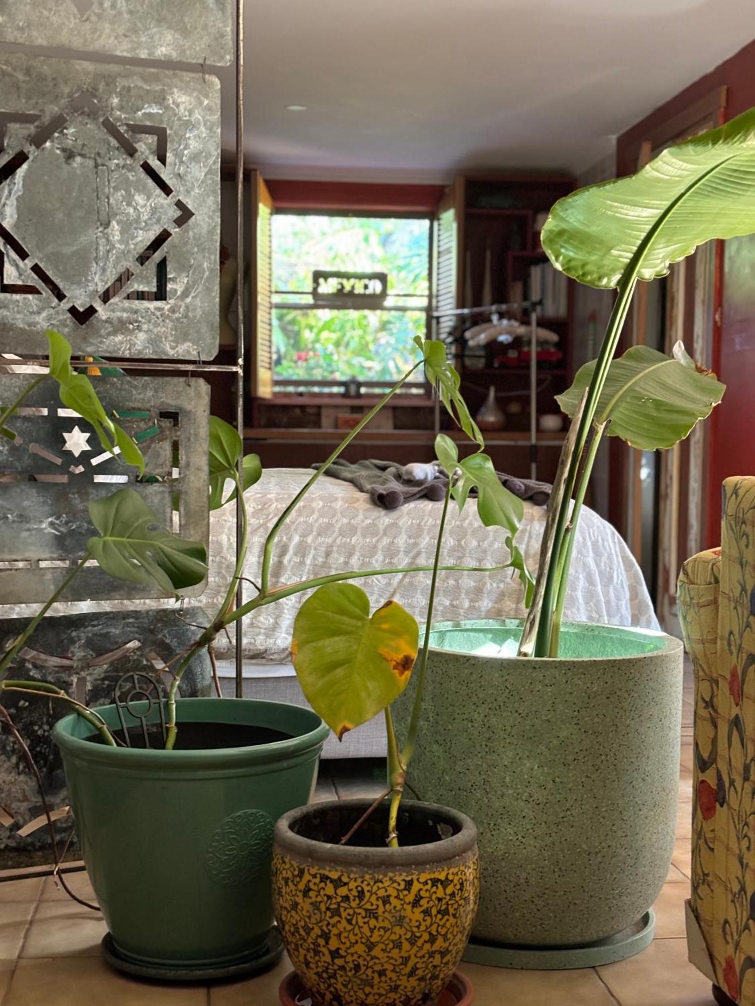 The Studio 莱伊 外观 照片
